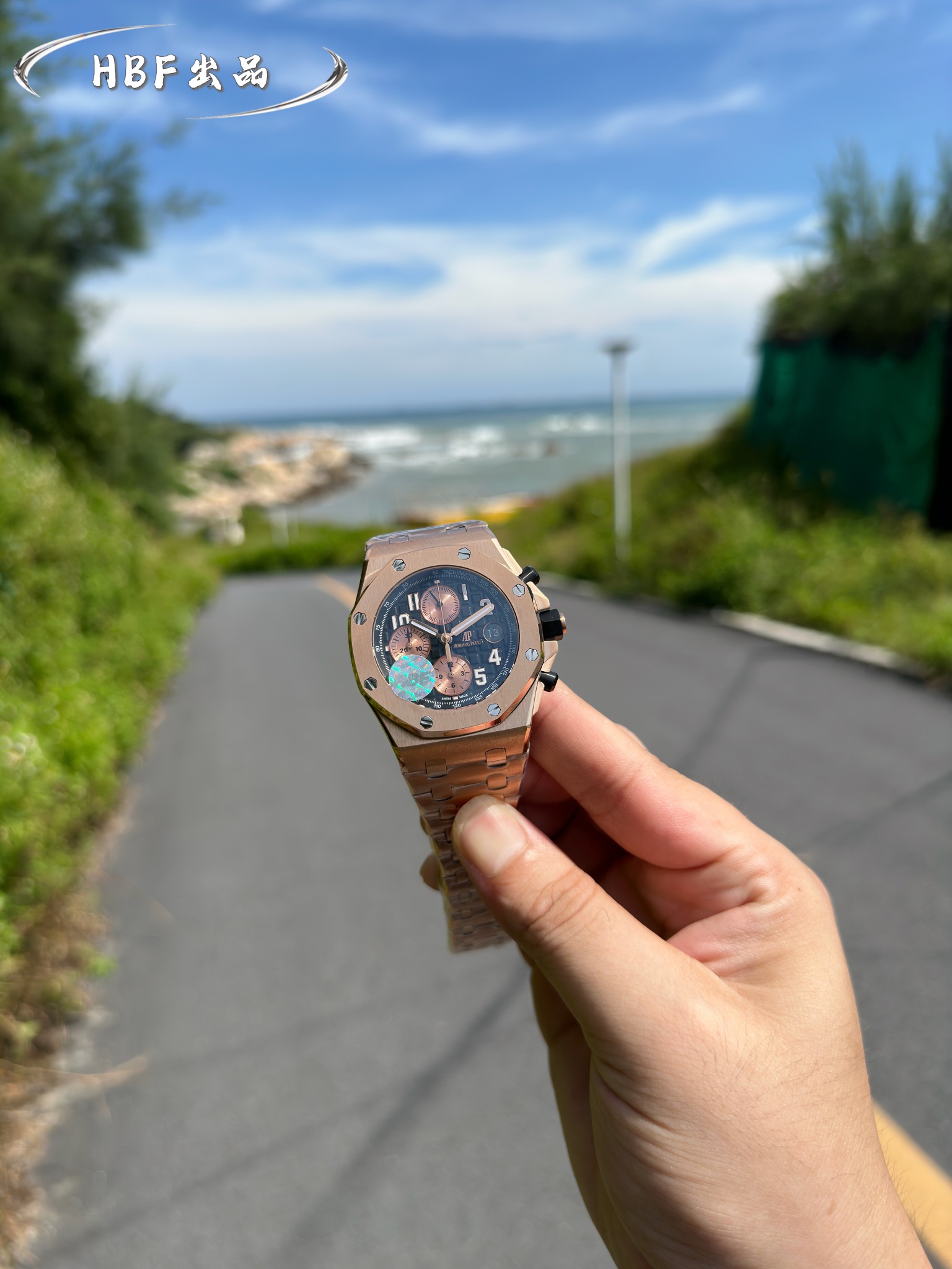 Audemars Piguet watch